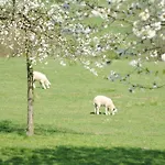 De Zegelskoel Heijenrath