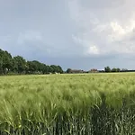 Apartamento De Zegelskoel