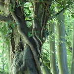 De Zegelskoel Apartamento *