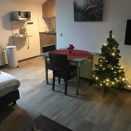 Lägenhet De Zegelskoel