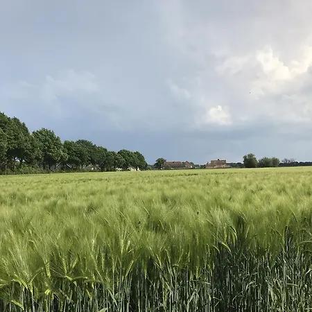 Lägenhet De Zegelskoel