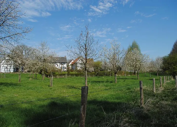 De Zegelskoel Apartmán