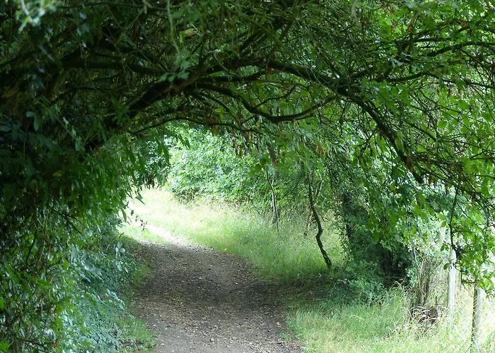 De Zegelskoël Appartement
