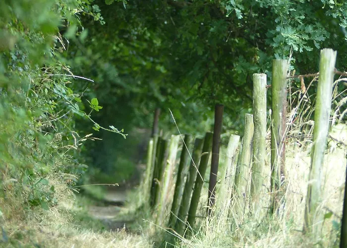 Appartement De Zegelskoël *