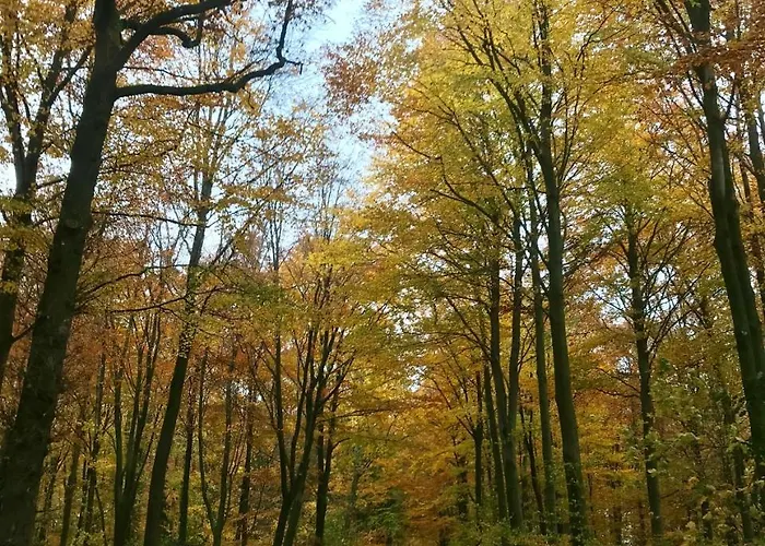 De Zegelskoel Apartment