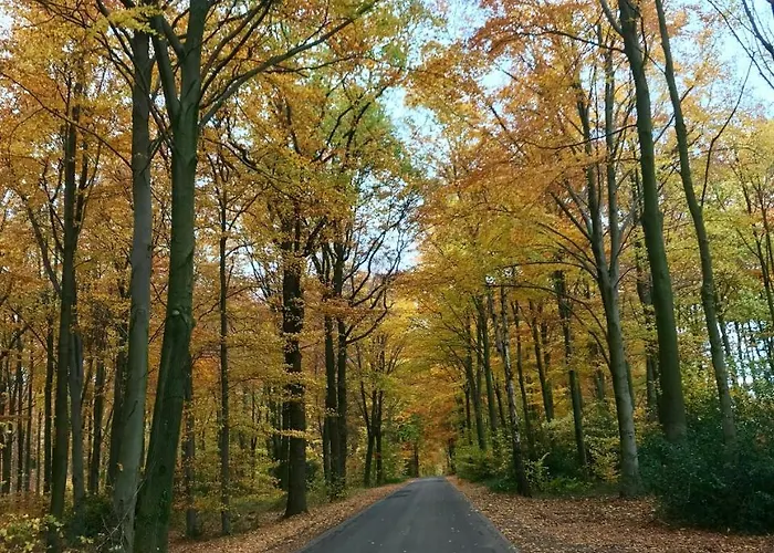 De Zegelskoel Apartmán Heijenrath
