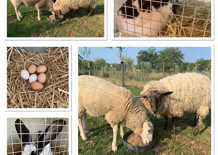 De Zegelskoel Apartment