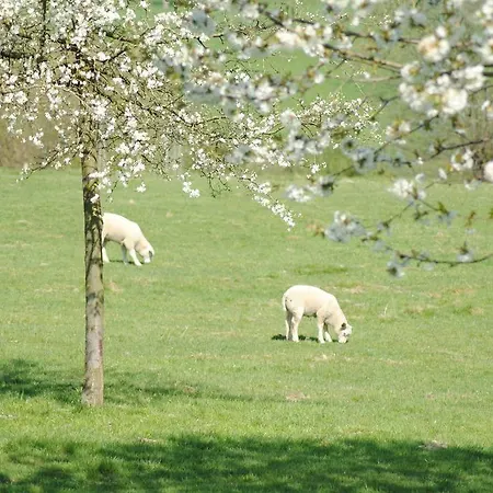 De Zegelskoel Heijenrath