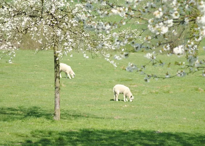De Zegelskoel Heijenrath